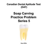 Canadian Dental Aptitude Test (DAT) Soap Carving Practice Problem Series 5