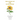The Lesson of the Sunflowers
