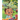 Mari's Magical Mind Garden