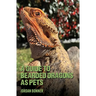 Guide to Bearded Dragons as Pets