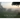 One Foggy Morning in Summer: In the Creasey Mahan Nature Preserve