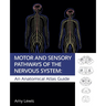 Motor and Sensory Pathways of the Nervous System