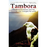 Tambora