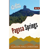Pagosa Springs: Denver Cereal, Denver Cereal Volume 20