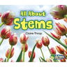 All about Stems