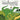 Baryonyx: My Dinosaur Friend