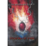 Vision of Fire: Special Edition