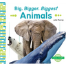 Big, Bigger, Biggest Animals