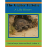 The Gopher Tortoise: A Life History