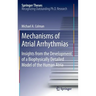 Mechanisms of Atrial Arrhythmias: Insights from the Development of a Biophysically Detailed Model of the Human Atria