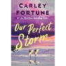Our Perfect Storm