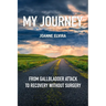 My Journey: from gallbladder attack to recovery without surgery