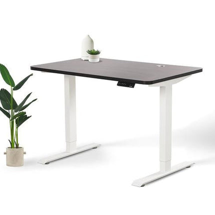 Home Office Standing Desk by EFFYDESK by Level Up Desks
