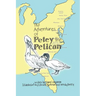 The Adventures of Petey the Pelican