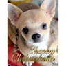 Cheeky Chihuahuas