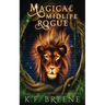 Magical Midlife Rogue