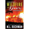 Wildfire at Dawn: a wildfire smokejumper romantic suspense