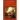 The American Revolutionary War: The Northern Campaigns