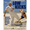 Low Kicks: Advanced Martial Arts Kicks for Attacking the Lower Gates