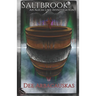 Saltbrook: An Alicia Lake Investigation
