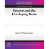 Seizures and the Developing Brain