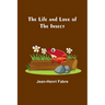 The Life and Love of the Insect