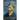 Vincent Van Gogh, A Biography: A Life of Beauty and Tragedy