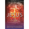 Jesus: A New Vision