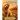Mia the Goldendoodle: Who Just Wanted to Be a Regular Dog