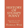 History of Stumpy Point: Village in the Wilderness