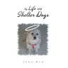 My Life with Shelter Dogs