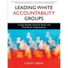 Leading White Accountability Groups: Create Racially Inclusive Teams and Anti-Racist Organizations