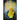 The Atlantis Stone