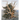 Mitch Epstein: American Nature