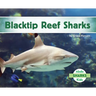 Blacktip Reef Sharks