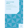 The Future Brics: A Synergistic Economic Alliance or Business as Usual?