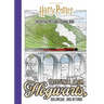 Harry Potter: Greetings from Hogwarts, Hogsmeade, and Beyond!: An Official Postcard Coloring Book