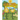 The Adventures of the Sunflower Twins: the Magical Garden: The Magical Garden