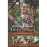 The Comprehensive Owners Handbook to Bengal Cat: A Comprehensive Guide to Raising, Loving, Training and Understanding Your Bengal Cat