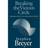 Breaking the Vicious Circle: Toward Effective Risk Regulation
