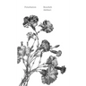 Peturbation: A Speculative History of Future(s) Past