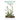 Appalachian Spring