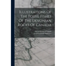 Illustrations Of The Fossil Fishes Of The Devonian Rocks Of Canada