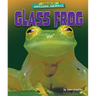 Glass Frog