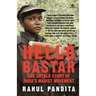 Hello, Bastar: The Untold Story of India's Maoist Movement