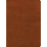 NASB Study Bible, Burnt Sienna Leathertouch
