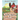 The Adventures of Lanny Llama - Book 2