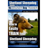 Shetland Sheepdog Training Dog Training with the No BRAINER Dog TRAINER We make it THAT Easy!: How to EASILY TRAIN Your Shetland Sheepdog