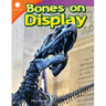Bones on Display