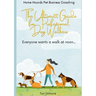 The Ultimutt Guide for Professional Dog Walkers: Everyone wants a walk at noon